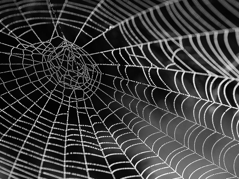 Che cos'è il darkweb?